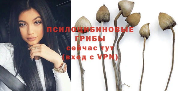 не бодяженный Волоколамск