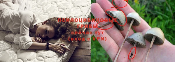 не бодяженный Волоколамск