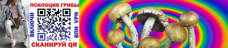 Галлюциногенные грибы MAGIC MUSHROOMS  Купить закладки  Саки 